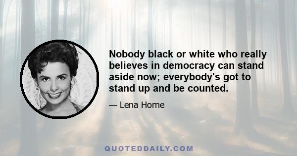 Nobody black or white who really believes in democracy can stand aside now; everybody's got to stand up and be counted.