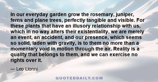 In our everyday garden grow the rosemary, juniper, ferns and plane trees, perfectly tangible and visible. For these plants that have an illusory relationship with us, which in no way alters their existentiality, we are