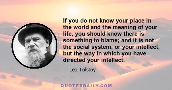 If you do not know your place in the world and the meaning of your life, you should know there is something to blame; and it is not the social system, or your intellect, but the way in which you have directed your