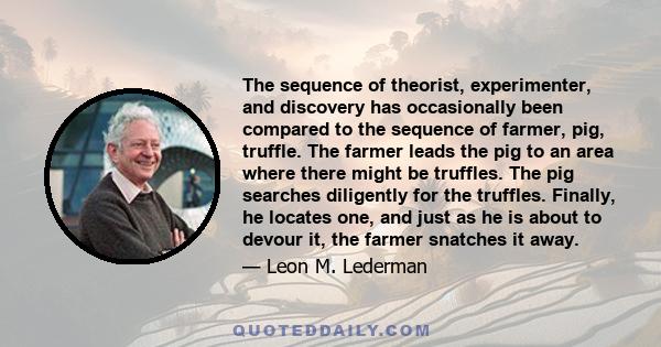 The sequence of theorist, experimenter, and discovery has occasionally been compared to the sequence of farmer, pig, truffle. The farmer leads the pig to an area where there might be truffles. The pig searches