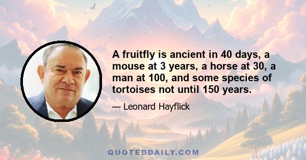 A fruitfly is ancient in 40 days, a mouse at 3 years, a horse at 30, a man at 100, and some species of tortoises not until 150 years.