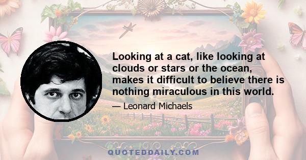 Looking at a cat, like looking at clouds or stars or the ocean, makes it difficult to believe there is nothing miraculous in this world.