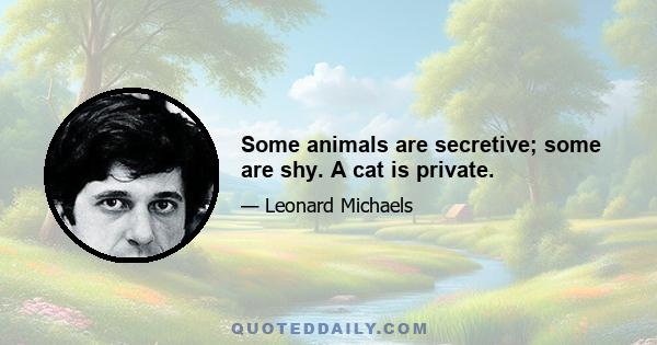 Some animals are secretive; some are shy. A cat is private.