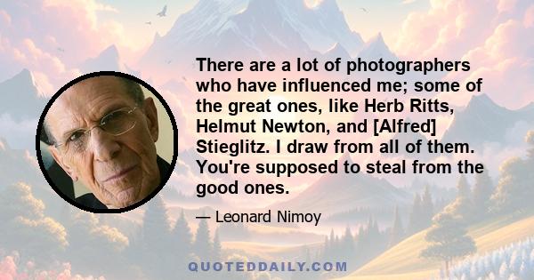 There are a lot of photographers who have influenced me; some of the great ones, like Herb Ritts, Helmut Newton, and [Alfred] Stieglitz. I draw from all of them. You're supposed to steal from the good ones.