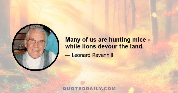 Many of us are hunting mice - while lions devour the land.