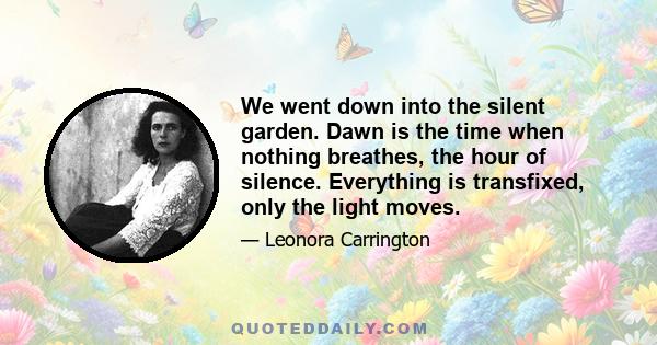 We went down into the silent garden. Dawn is the time when nothing breathes, the hour of silence. Everything is transfixed, only the light moves.