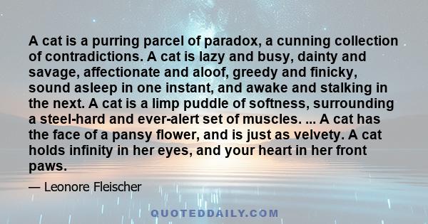 A cat is a purring parcel of paradox, a cunning collection of contradictions. A cat is lazy and busy, dainty and savage, affectionate and aloof, greedy and finicky, sound asleep in one instant, and awake and stalking in 