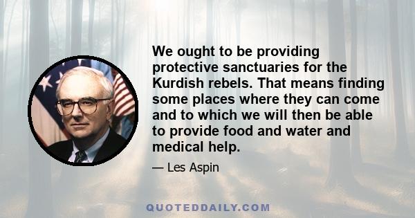 We ought to be providing protective sanctuaries for the Kurdish rebels. That means finding some places where they can come and to which we will then be able to provide food and water and medical help.