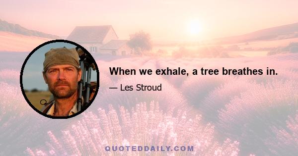 When we exhale, a tree breathes in.