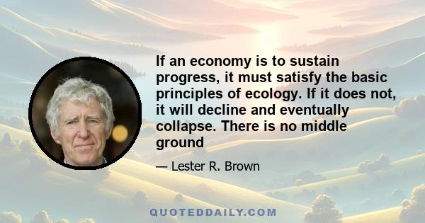 If an economy is to sustain progress, it must satisfy the basic principles of ecology. If it does not, it will decline and eventually collapse. There is no middle ground