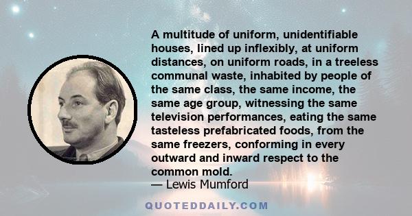 A multitude of uniform, unidentifiable houses, lined up inflexibly, at uniform distances, on uniform roads, in a treeless communal waste, inhabited by people of the same class, the same income, the same age group,