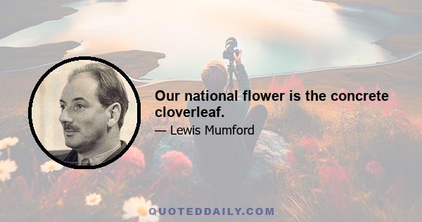 Our national flower is the concrete cloverleaf.