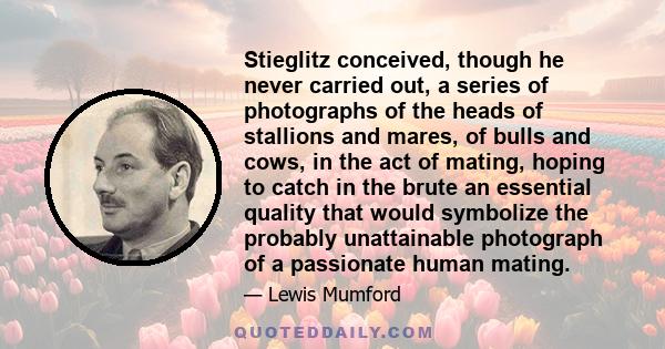 Stieglitz conceived, though he never carried out, a series of photographs of the heads of stallions and mares, of bulls and cows, in the act of mating, hoping to catch in the brute an essential quality that would