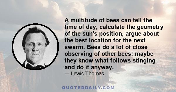 A multitude of bees can tell the time of day, calculate the geometry of the sun's position, argue about the best location for the next swarm. Bees do a lot of close observing of other bees; maybe they know what follows