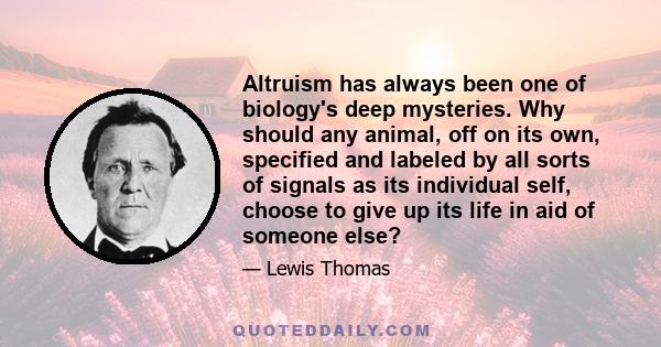 Altruism has always been one of biology's deep mysteries. Why should any animal, off on its own, specified and labeled by all sorts of signals as its individual self, choose to give up its life in aid of someone else?