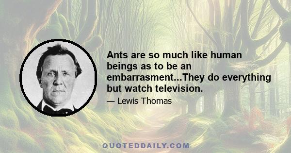 Ants are so much like human beings as to be an embarrasment...They do everything but watch television.