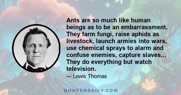 Ants are so much like human beings as to be an embarrassment. They farm fungi, raise aphids as livestock, launch armies into wars, use chemical sprays to alarm and confuse enemies, capture slaves... They do everything