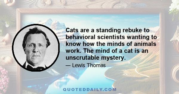 Cats are a standing rebuke to behavioral scientists wanting to know how the minds of animals work. The mind of a cat is an unscrutable mystery.