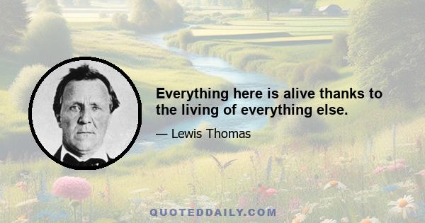 Everything here is alive thanks to the living of everything else.