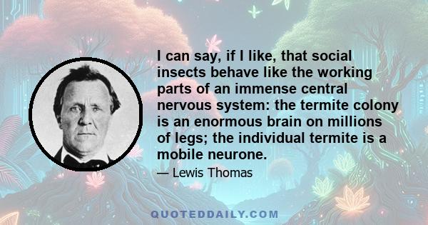 I can say, if I like, that social insects behave like the working parts of an immense central nervous system: the termite colony is an enormous brain on millions of legs; the individual termite is a mobile neurone.