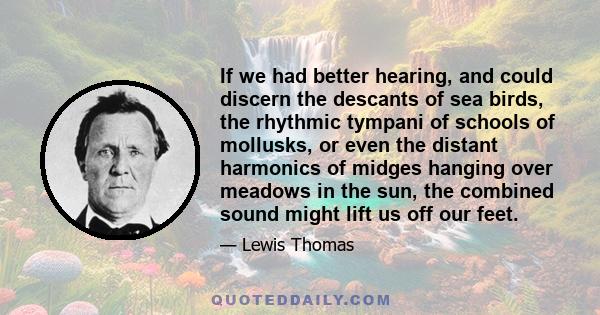 If we had better hearing, and could discern the descants of sea birds, the rhythmic tympani of schools of mollusks, or even the distant harmonics of midges hanging over meadows in the sun, the combined sound might lift