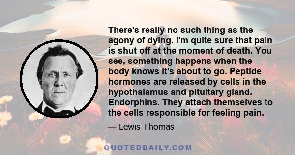 There's really no such thing as the agony of dying. I'm quite sure that pain is shut off at the moment of death. You see, something happens when the body knows it's about to go. Peptide hormones are released by cells in 