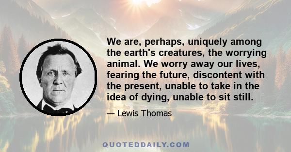 We are, perhaps, uniquely among the earth's creatures, the worrying animal. We worry away our lives, fearing the future, discontent with the present, unable to take in the idea of dying, unable to sit still.