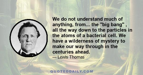 We do not understand much of anything, from... the big bang , all the way down to the particles in the atoms of a bacterial cell. We have a wilderness of mystery to make our way through in the centuries ahead.