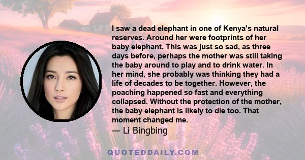 I saw a dead elephant in one of Kenya's natural reserves. Around her were footprints of her baby elephant. This was just so sad, as three days before, perhaps the mother was still taking the baby around to play and to