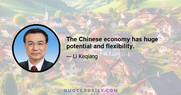 The Chinese economy has huge potential and flexibility.