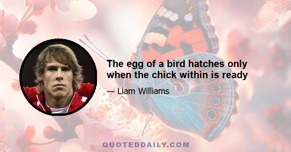 The egg of a bird hatches only when the chick within is ready