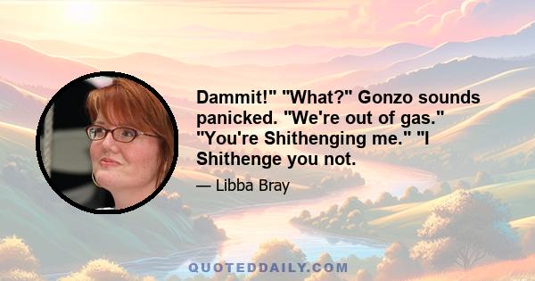 Dammit! What? Gonzo sounds panicked. We're out of gas. You're Shithenging me. I Shithenge you not.