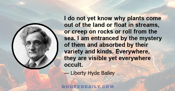 I do not yet know why plants come out of the land or float in streams, or creep on rocks or roll from the sea. I am entranced by the mystery of them and absorbed by their variety and kinds. Everywhere, they are visible