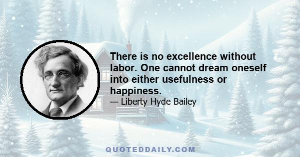 There is no excellence without labor. One cannot dream oneself into either usefulness or happiness.