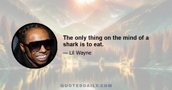 The only thing on the mind of a shark is to eat.