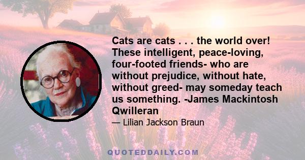 Cats are cats . . . the world over! These intelligent, peace-loving, four-footed friends- who are without prejudice, without hate, without greed- may someday teach us something. -James Mackintosh Qwilleran