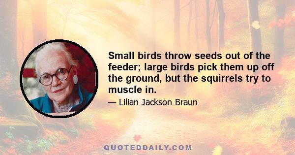 Small birds throw seeds out of the feeder; large birds pick them up off the ground, but the squirrels try to muscle in.