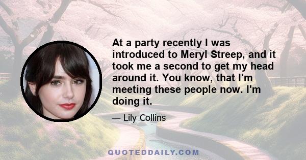 At a party recently I was introduced to Meryl Streep, and it took me a second to get my head around it. You know, that I'm meeting these people now. I'm doing it.