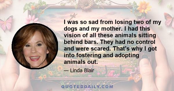 I was so sad from losing two of my dogs and my mother. I had this vision of all these animals sitting behind bars. They had no control and were scared. That's why I got into fostering and adopting animals out.