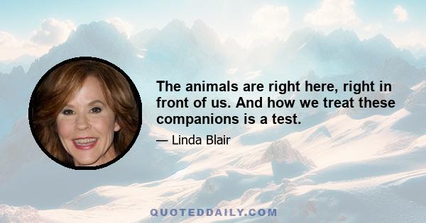 The animals are right here, right in front of us. And how we treat these companions is a test.