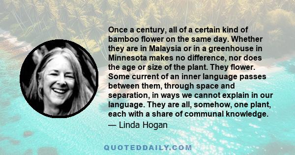 Once a century, all of a certain kind of bamboo flower on the same day. Whether they are in Malaysia or in a greenhouse in Minnesota makes no difference, nor does the age or size of the plant. They flower. Some current