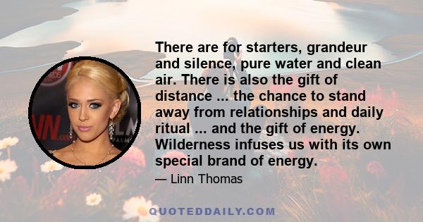 There are for starters, grandeur and silence, pure water and clean air. There is also the gift of distance ... the chance to stand away from relationships and daily ritual ... and the gift of energy. Wilderness infuses