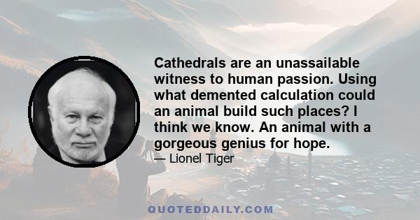 Cathedrals are an unassailable witness to human passion. Using what demented calculation could an animal build such places? I think we know. An animal with a gorgeous genius for hope.