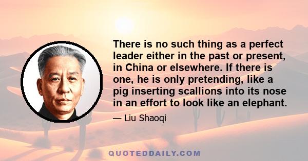 There is no such thing as a perfect leader either in the past or present, in China or elsewhere. If there is one, he is only pretending, like a pig inserting scallions into its nose in an effort to look like an elephant.