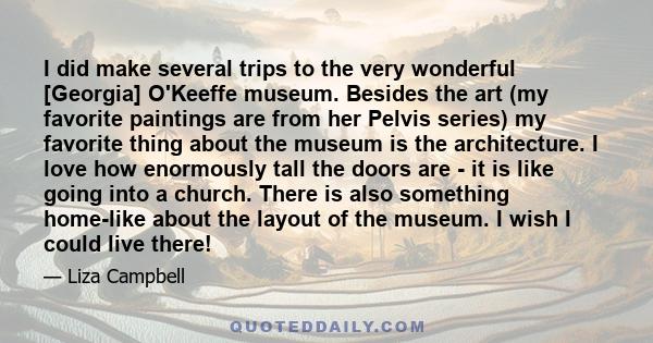 I did make several trips to the very wonderful [Georgia] O'Keeffe museum. Besides the art (my favorite paintings are from her Pelvis series) my favorite thing about the museum is the architecture. I love how enormously