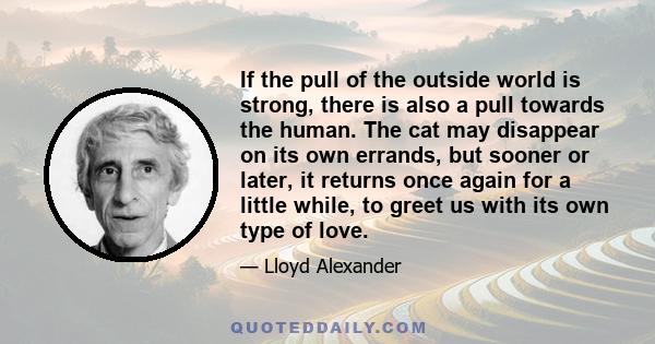 If the pull of the outside world is strong, there is also a pull towards the human. The cat may disappear on its own errands, but sooner or later, it returns once again for a little while, to greet us with its own type