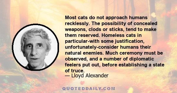 Most cats do not approach humans recklessly. The possibility of concealed weapons, clods or sticks, tend to make them reserved. Homeless cats in particular-with some justification, unfortunately-consider humans their