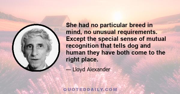 She had no particular breed in mind, no unusual requirements. Except the special sense of mutual recognition that tells dog and human they have both come to the right place.