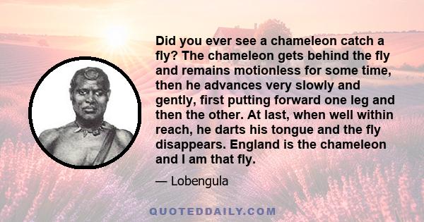 Did you ever see a chameleon catch a fly? The chameleon gets behind the fly and remains motionless for some time, then he advances very slowly and gently, first putting forward one leg and then the other. At last, when