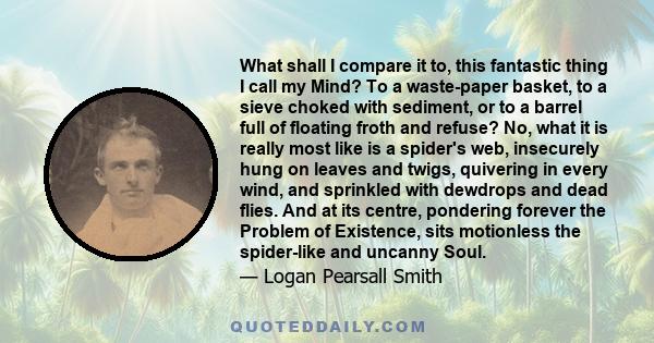 What shall I compare it to, this fantastic thing I call my Mind? To a waste-paper basket, to a sieve choked with sediment, or to a barrel full of floating froth and refuse? No, what it is really most like is a spider's